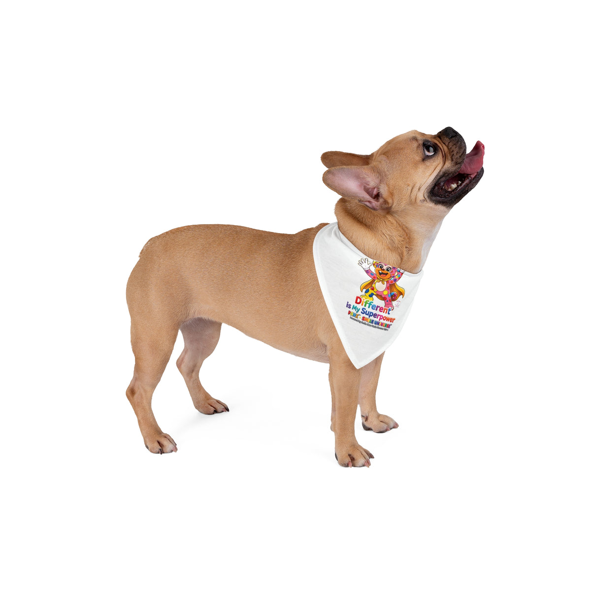 Panz™ Pet Bandana – "Different is My Superpower" Graphic | Smile Universe Collection